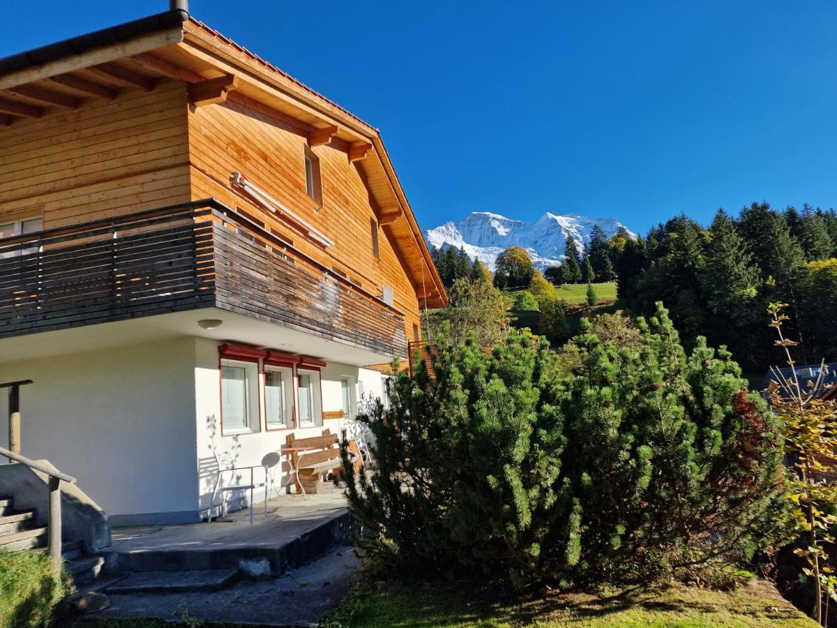 Chalet Viola - Verena's Loft Wengen Buitenkant foto