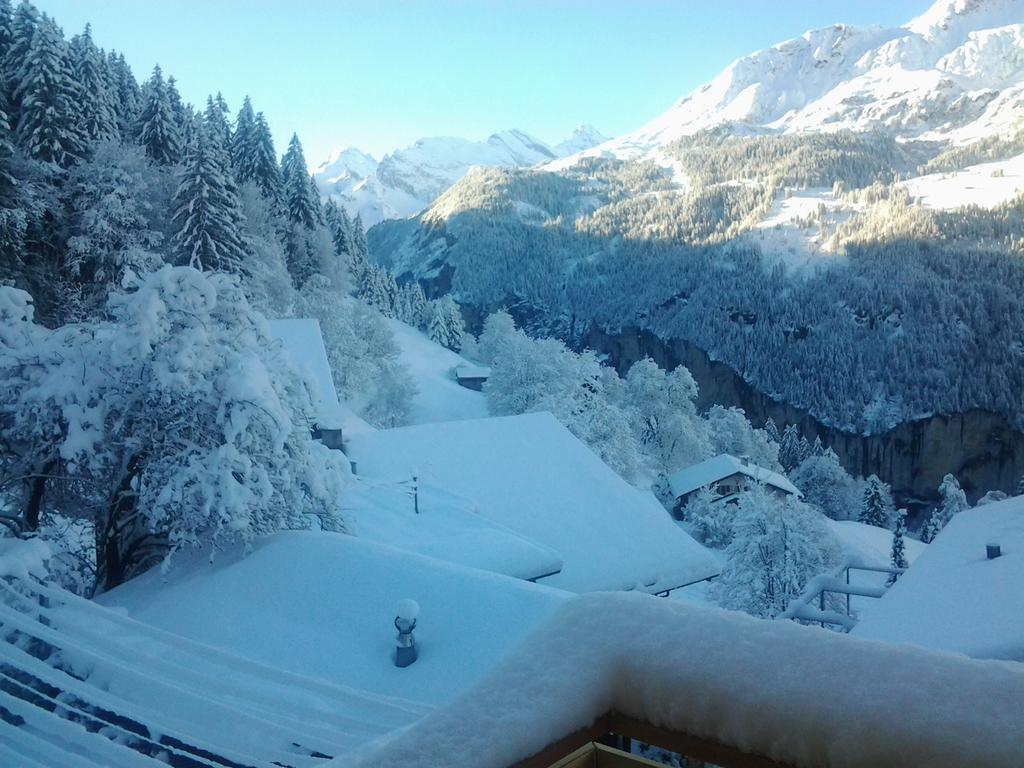 Chalet Viola - Verena's Loft Wengen Buitenkant foto