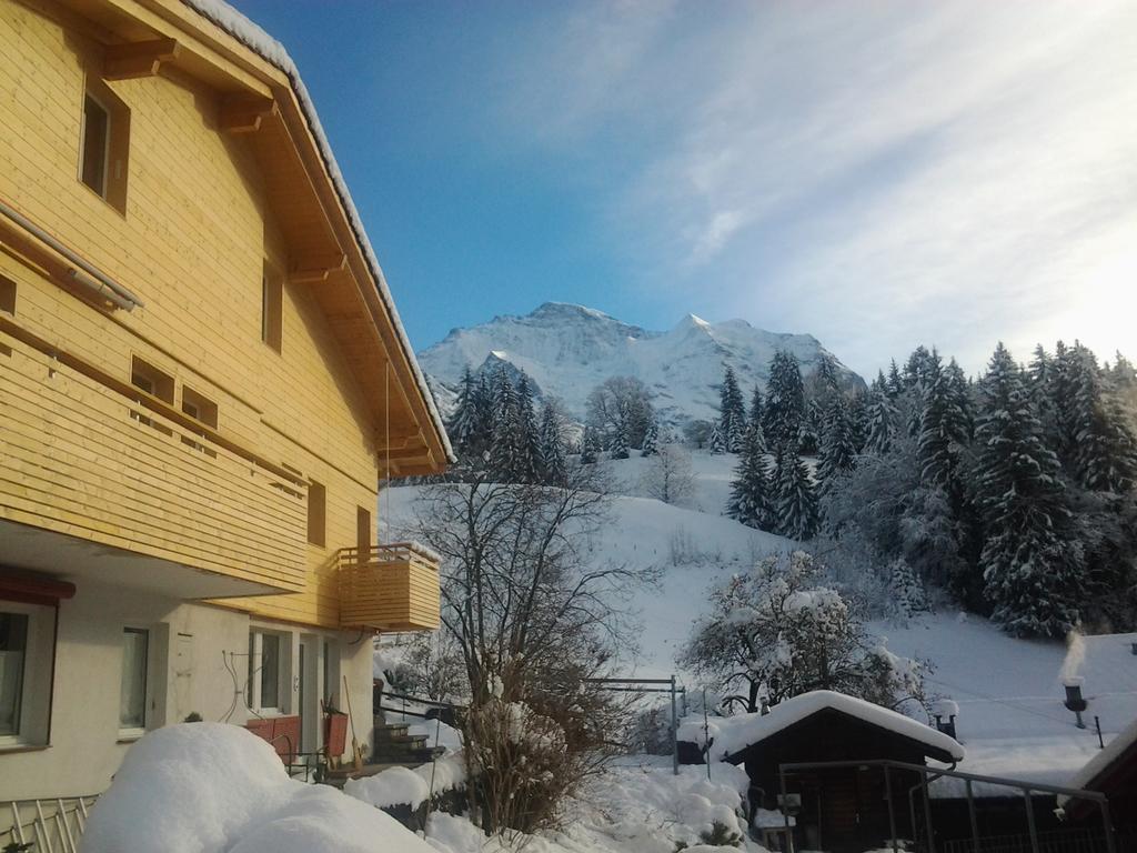 Chalet Viola - Verena's Loft Wengen Buitenkant foto